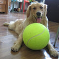 24cm inflatable tennis activity gift pet toy, pet ball bite toy，Ball air pump