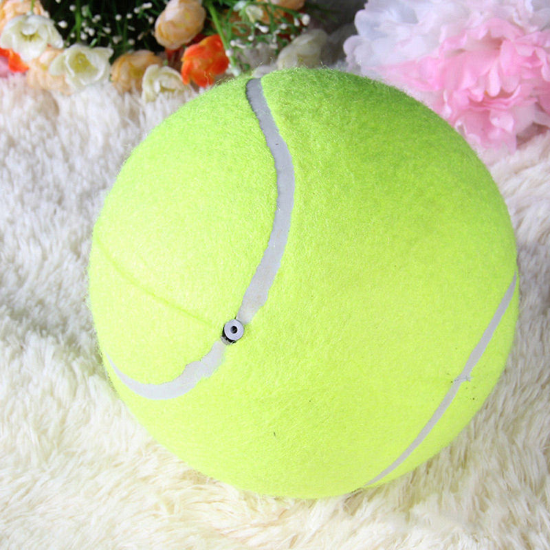 24cm inflatable tennis activity gift pet toy, pet ball bite toy，Ball air pump