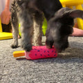 Pet Toy Chew Squeaky Silicone Sounding Popsicle Shaped Toy for Cat Puppy Dogs